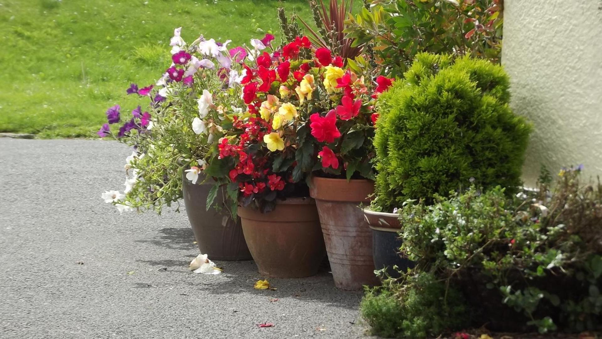 Jasmine House Bed & Breakfast Newquay  Exterior photo